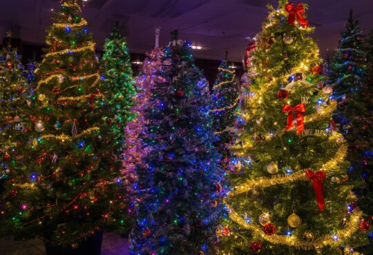 How to Decorate a Christmas Tree