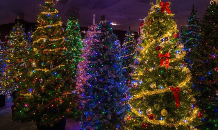 How to Decorate a Christmas Tree