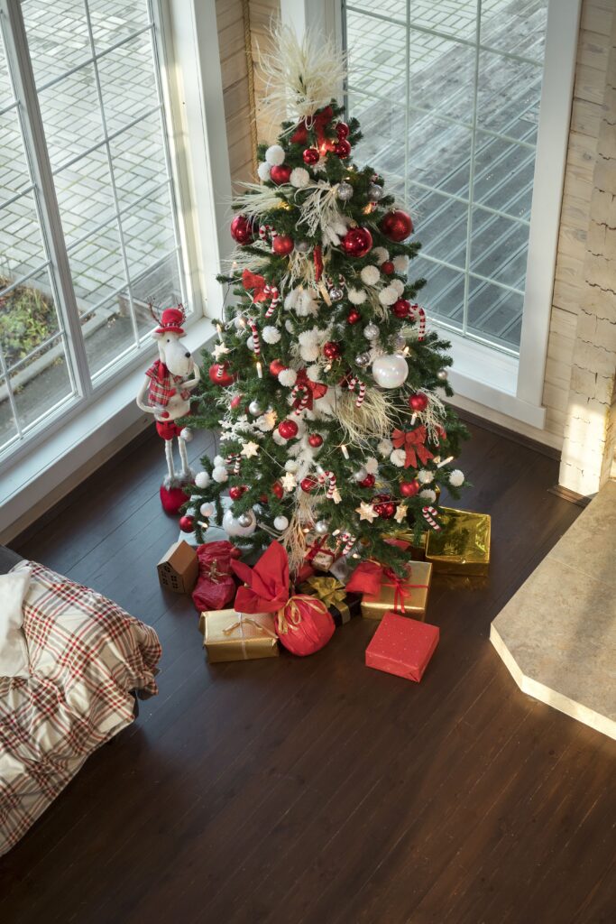 Decorated Christmas Trees in Homes