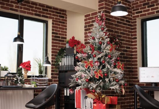 Decorated Christmas Trees in Homes