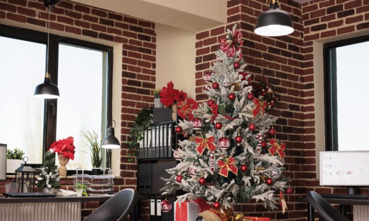 Decorated Christmas Trees in Homes